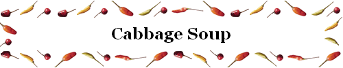 Cabbage Soup